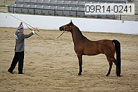 09r14-0241 proof
