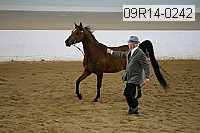 09r14-0242 proof