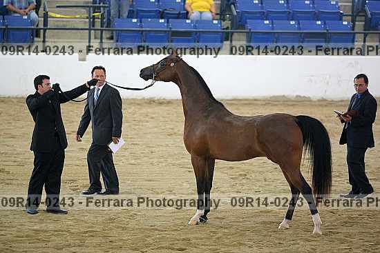 Proof 09r14-0243