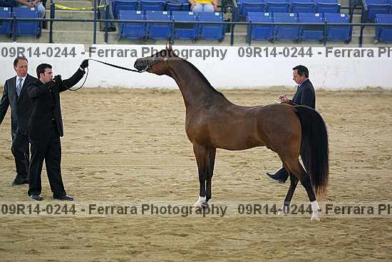 Proof 09r14-0244