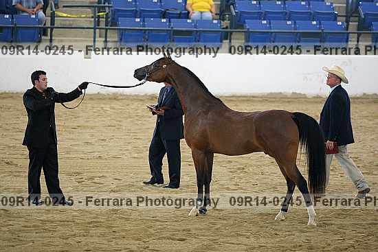 Proof 09r14-0245