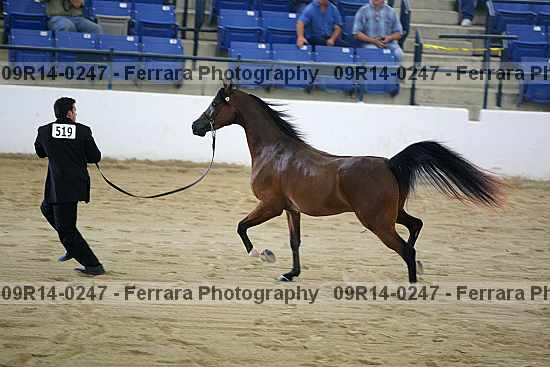 Proof 09r14-0247
