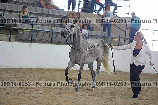 Proof 09r14-0253