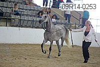 09r14-0253 proof