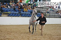 09r14-0254 proof