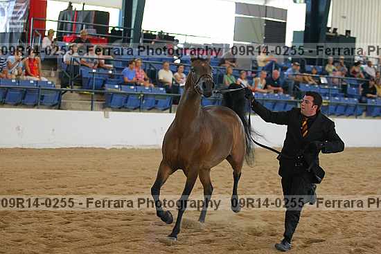 Proof 09r14-0255