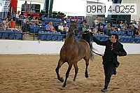 09r14-0255 proof