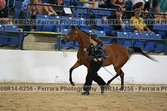 Proof 09r14-0256