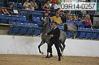 09r14-0257 proof