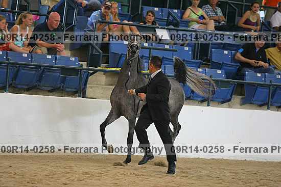 Proof 09r14-0258