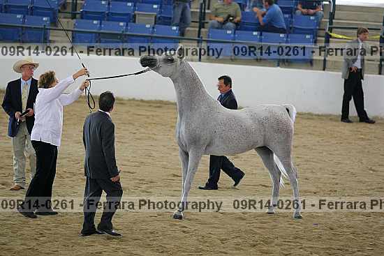 Proof 09r14-0261
