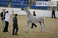 09r14-0261 proof