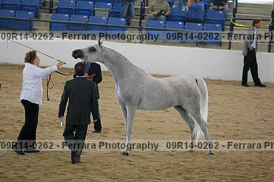 Proof 09r14-0262