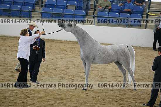 Proof 09r14-0263