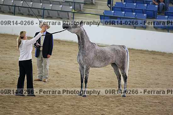 Proof 09r14-0266