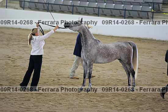 Proof 09r14-0268