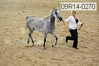 09r14-0270 proof