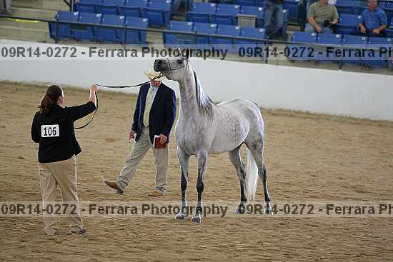 Proof 09r14-0272