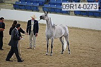 09r14-0273 proof
