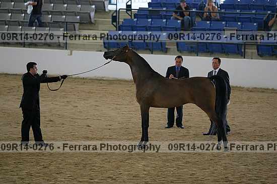 Proof 09r14-0276
