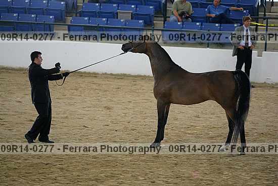 Proof 09r14-0277