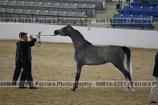Proof 09r14-0281
