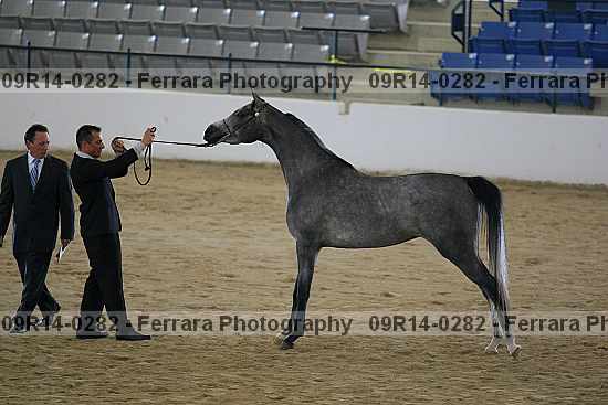 Proof 09r14-0282