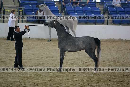 Proof 09r14-0286
