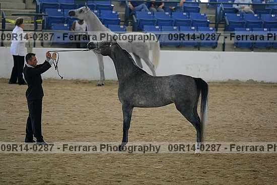 Proof 09r14-0287