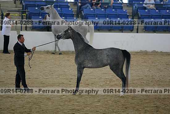 Proof 09r14-0288