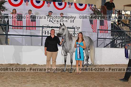 Proof 09r14-0290