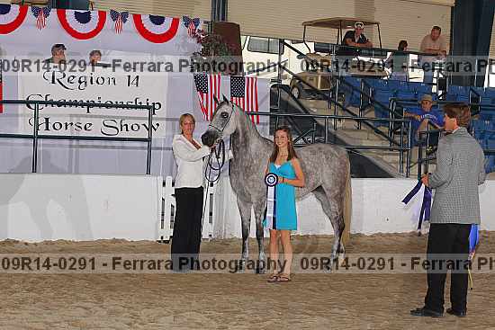 Proof 09r14-0291