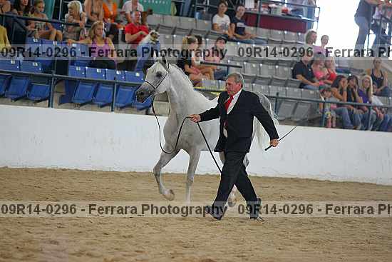 Proof 09r14-0296