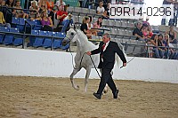 09r14-0296 proof