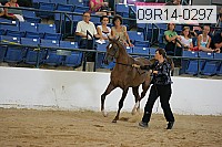 09r14-0297 proof