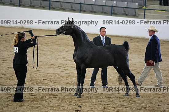 Proof 09r14-0298
