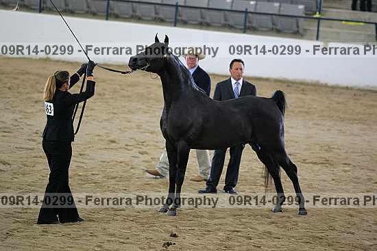Proof 09r14-0299