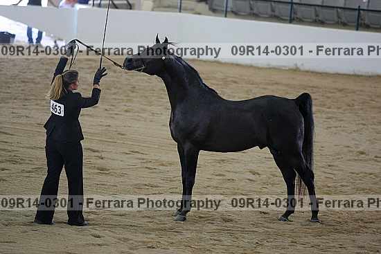 Proof 09r14-0301