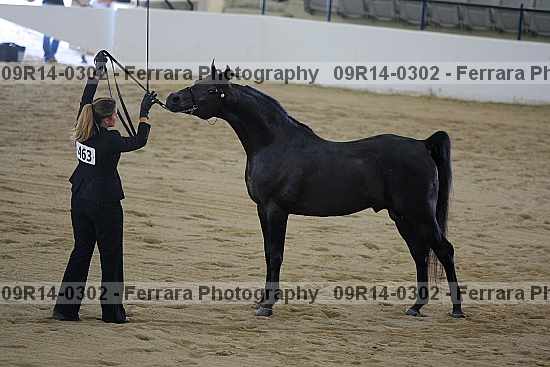 Proof 09r14-0302