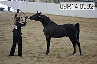 09r14-0302 proof