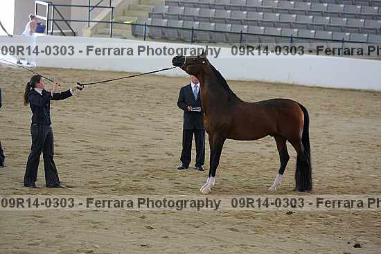 Proof 09r14-0303