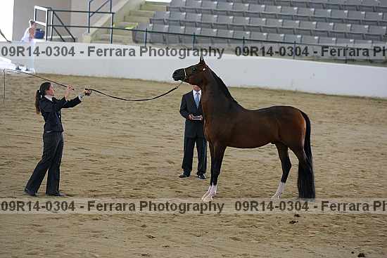 Proof 09r14-0304