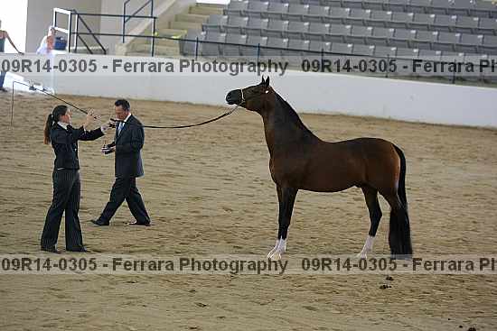 Proof 09r14-0305