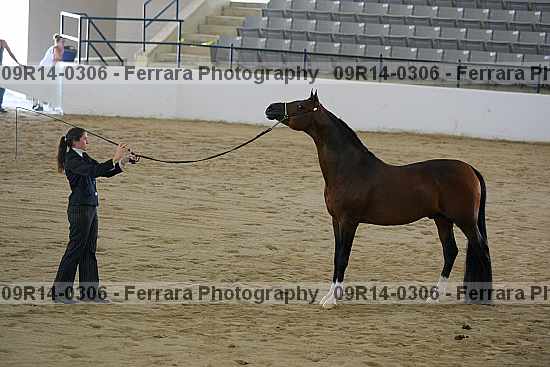 Proof 09r14-0306
