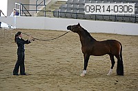 09r14-0306 proof
