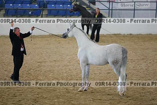 Proof 09r14-0308