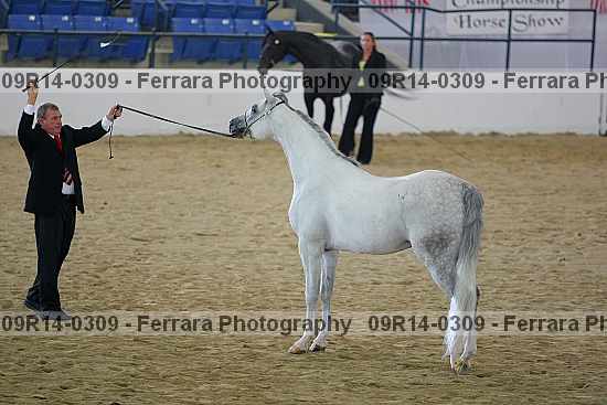 Proof 09r14-0309