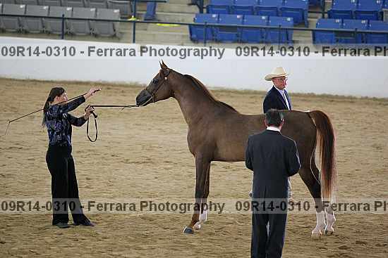 Proof 09r14-0310