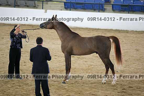 Proof 09r14-0312