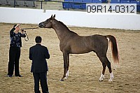 09r14-0312 proof